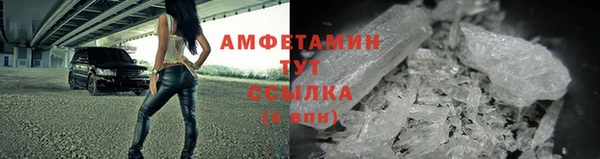 прущие грибы Баксан