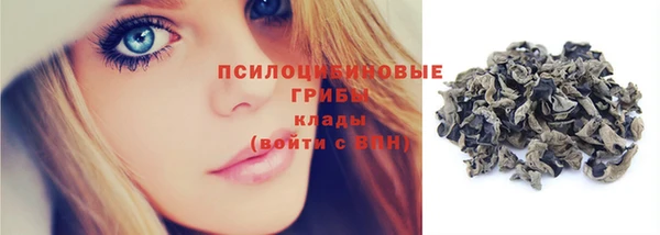 прущие грибы Баксан