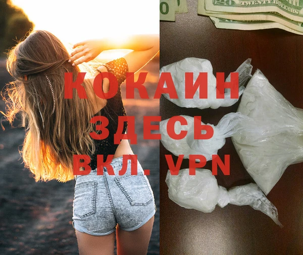прущие грибы Баксан
