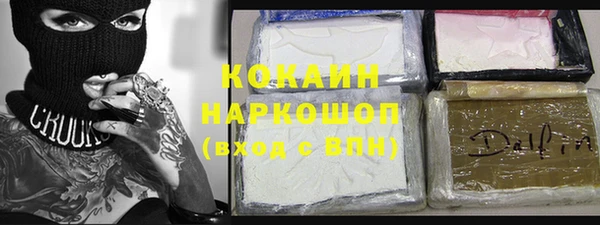 прущие грибы Баксан