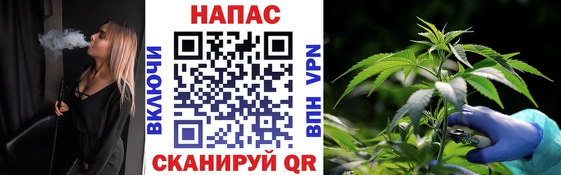 Бошки марихуана ГИДРОПОН  магазин продажи   Куса 